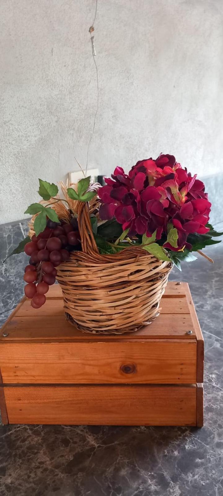 B&B Il Casaletto Monte Porzio Catone Экстерьер фото